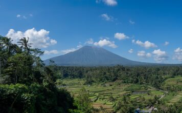 Tarasy ryżowe na Bali z widokiem na wulkan Agung
